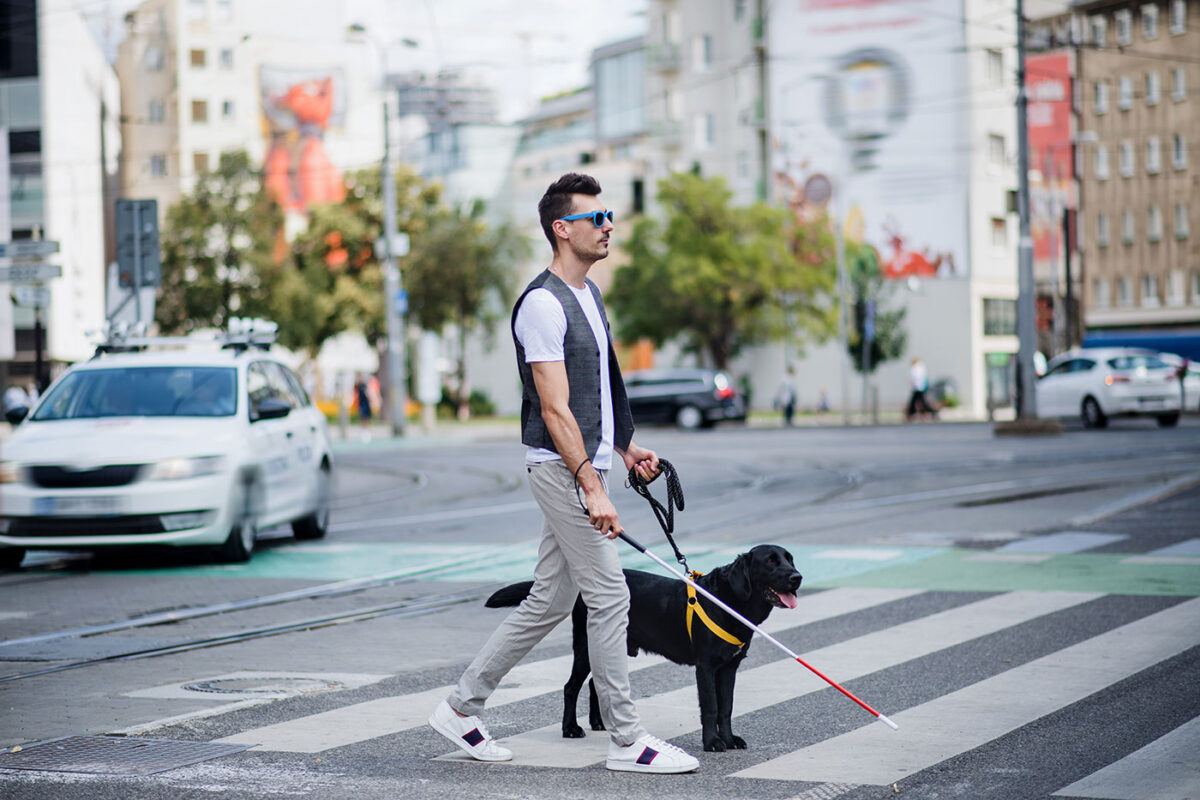 Un uomo con disabilità visiva attraversa le strisce pedonali. Tiene il suo bastone bianco nella mano destra e il suo cane guida nella mano sinistra.